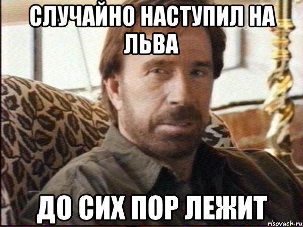 случайно наступил на льва до сих пор лежит