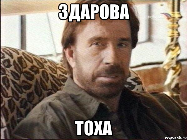 здарова тоха