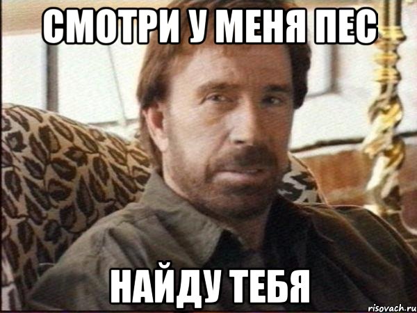 смотри у меня пес найду тебя