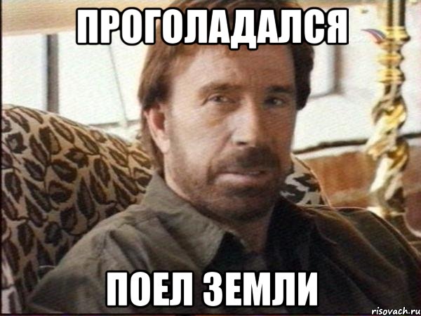проголадался поел земли