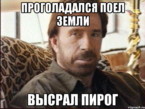 проголадался поел земли высрал пирог