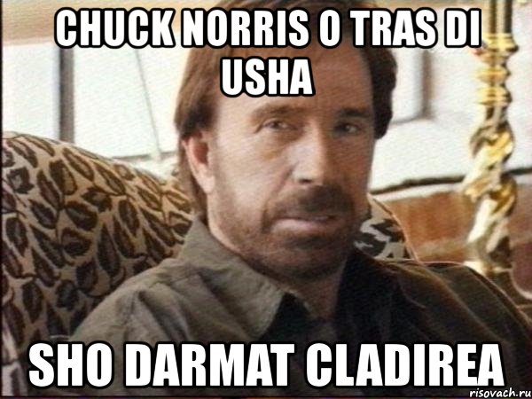 chuck norris o tras di usha sho darmat cladirea