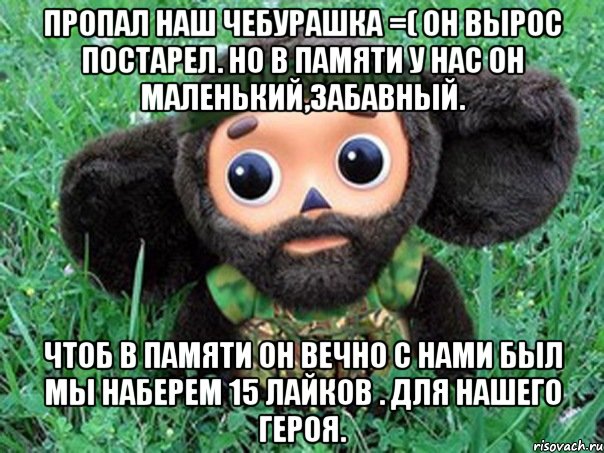 пропал наш чебурашка =( он вырос постарел. но в памяти у нас он маленький,забавный. чтоб в памяти он вечно с нами был мы наберем 15 лайков . для нашего героя.