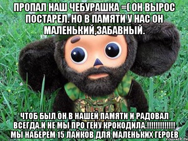 пропал наш чебурашка =( он вырос постарел. но в памяти у нас он маленький,забавный. чтоб был он в нашей памяти и радовал всегда.и не мы про гену крокодила.!!! мы наберем 15 лайков для маленьких героев