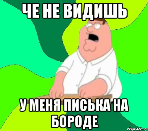 че не видишь у меня писька на бороде, Мем  Да всем насрать (Гриффин)