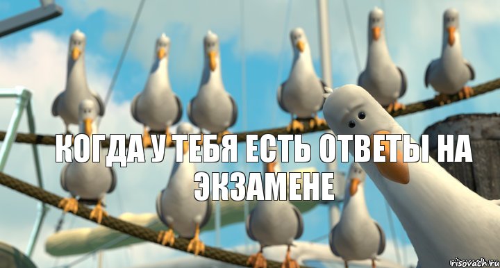 когда у тебя есть ответы на экзамене
