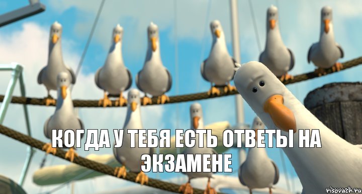 когда у тебя есть ответы на экзамене