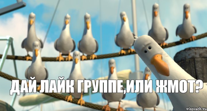 Дай лайк группе,или жмот?