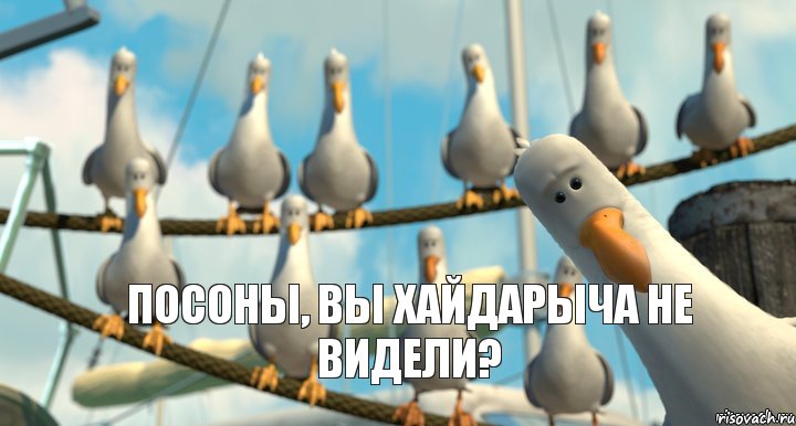 Посоны, вы Хайдарыча не видели?