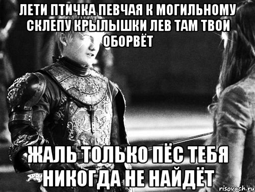 лети птичка певчая к могильному склепу крылышки лев там твои оборвёт жаль только пёс тебя никогда не найдёт, Мем Депрессняк