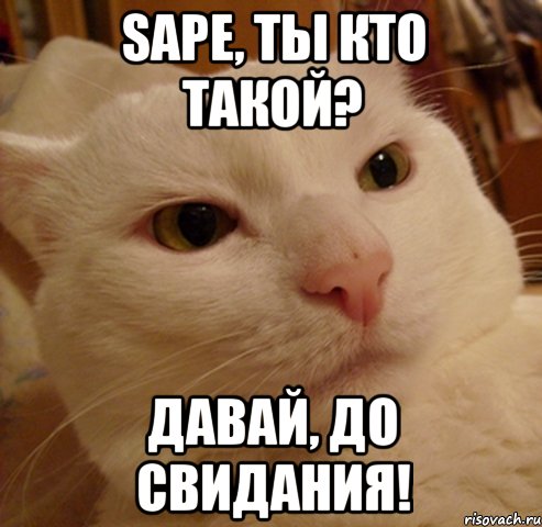 sape, ты кто такой? давай, до свидания!, Мем Дерзкий котэ