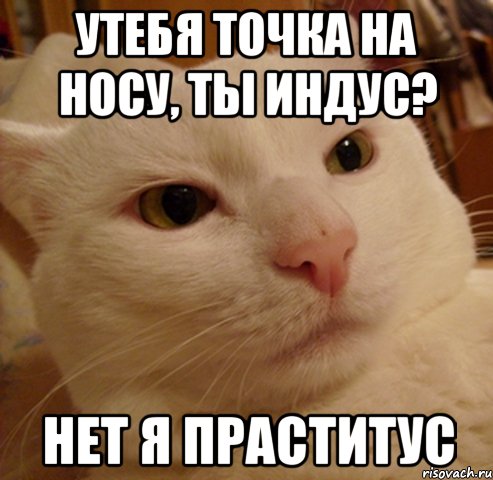 утебя точка на носу, ты индус? нет я праститус