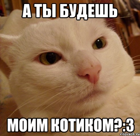 а ты будешь моим котиком?:3, Мем Дерзкий котэ