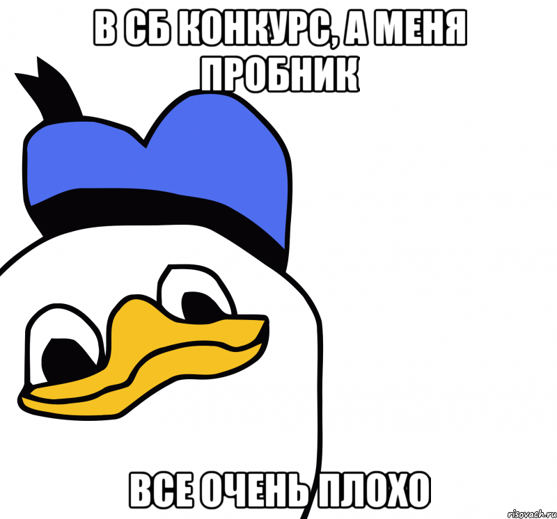 в сб конкурс, а меня пробник все очень плохо, Мем ВСЕ ОЧЕНЬ ПЛОХО