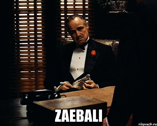  zaebali