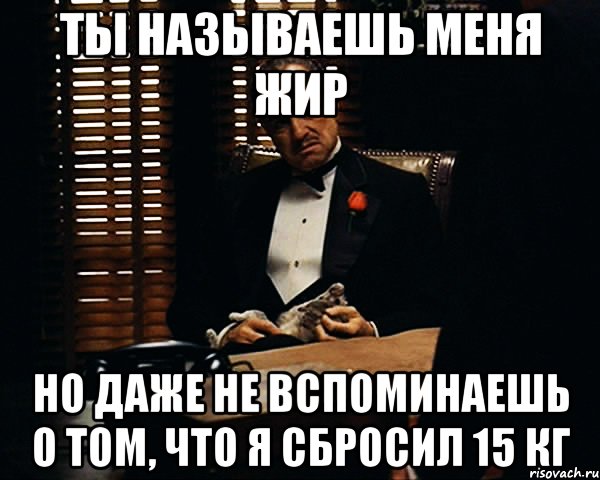 ты называешь меня жир но даже не вспоминаешь о том, что я сбросил 15 кг, Мем Дон Вито Корлеоне