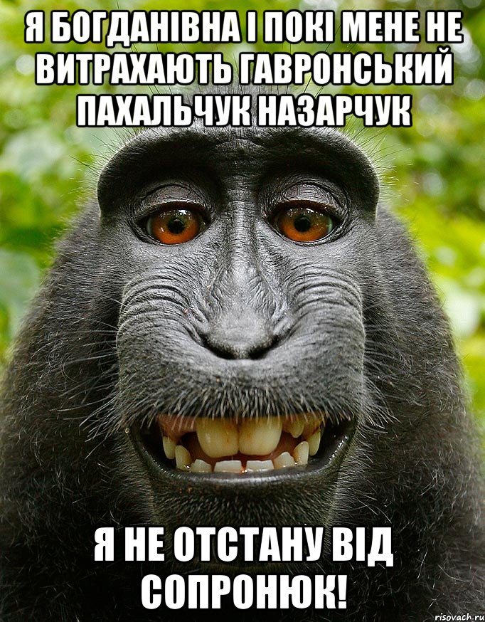 я богданівна і покі мене не витрахають гавронський пахальчук назарчук я не отстану від сопронюк!, Мем  Довольная обезьяна