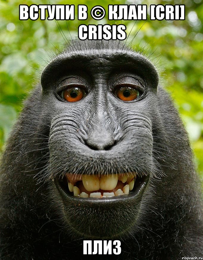 вступи в © клан [cri] crisis плиз, Мем  Довольная обезьяна