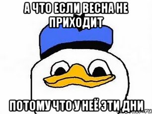 а что если весна не приходит потому что у неё эти дни, Мем Duck Angel