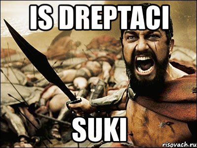 is dreptaci suki