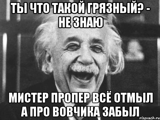 ты что такой грязный? - не знаю мистер пропер всё отмыл а про вовчика забыл