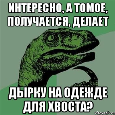 интересно, а томое, получается, делает дырку на одежде для хвоста?, Мем Филосораптор