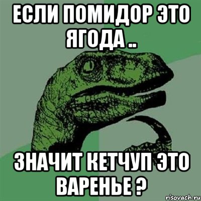 если помидор это ягода .. значит кетчуп это варенье ?, Мем Филосораптор