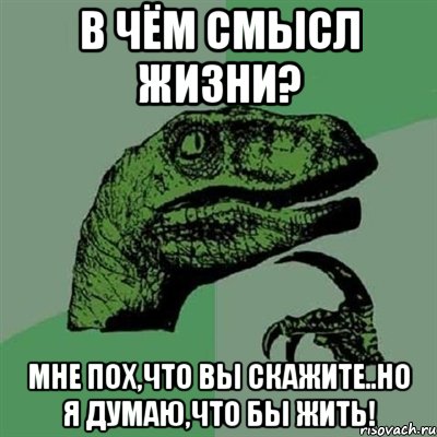 в чём смысл жизни? мне пох,что вы скажите..но я думаю,что бы жить!, Мем Филосораптор