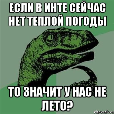 если в инте сейчас нет теплой погоды то значит у нас не лето?, Мем Филосораптор