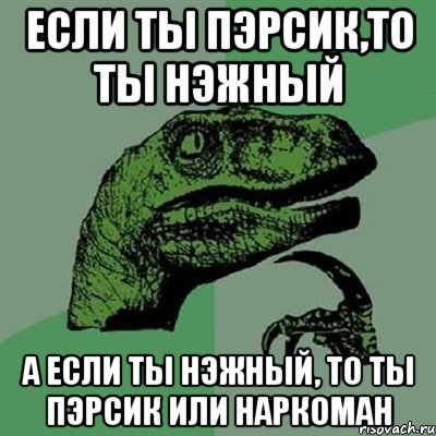 если ты пэрсик,то ты нэжный а если ты нэжный, то ты пэрсик или наркоман, Мем Филосораптор