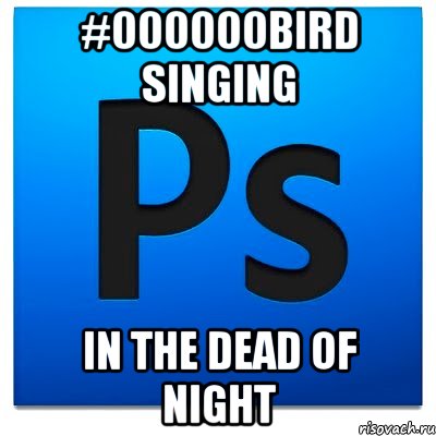#000000bird singing in the dead of night