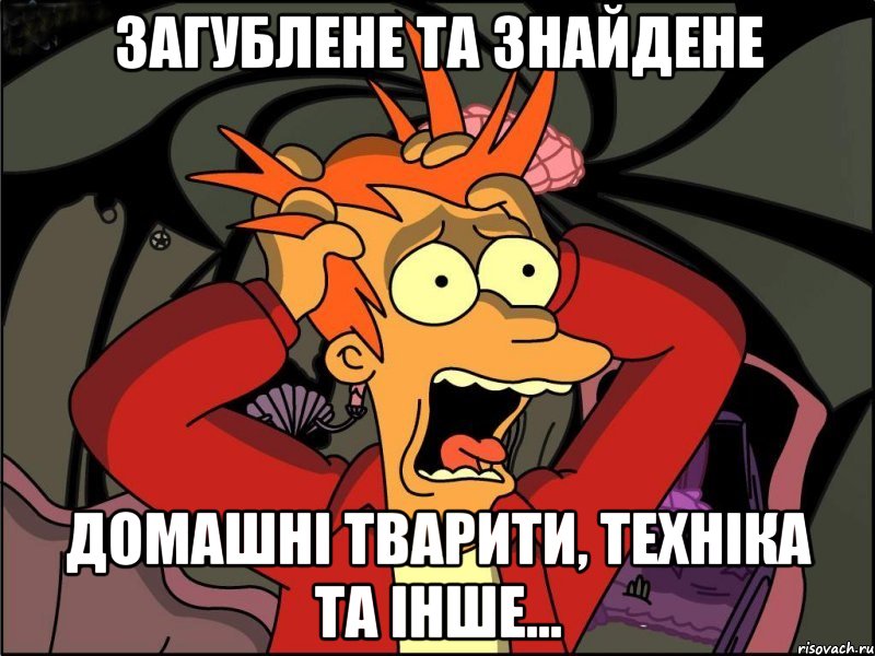 загублене та знайдене домашні тварити, техніка та інше..., Мем Фрай в панике