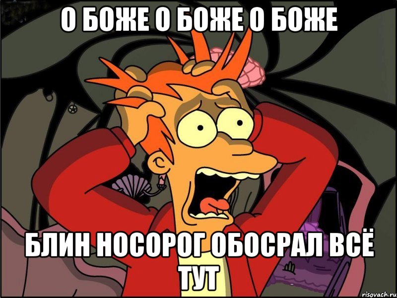 о боже о боже о боже блин носорог обосрал всё тут, Мем Фрай в панике