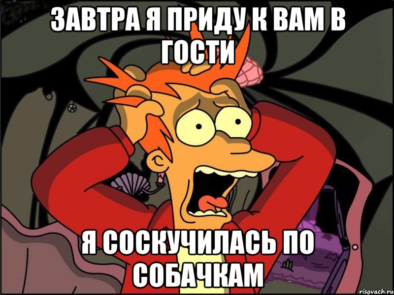 завтра я приду к вам в гости я соскучилась по собачкам, Мем Фрай в панике