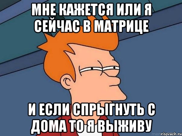 мне кажется или я сейчас в матрице и если спрыгнуть с дома то я выживу, Мем  Фрай (мне кажется или)