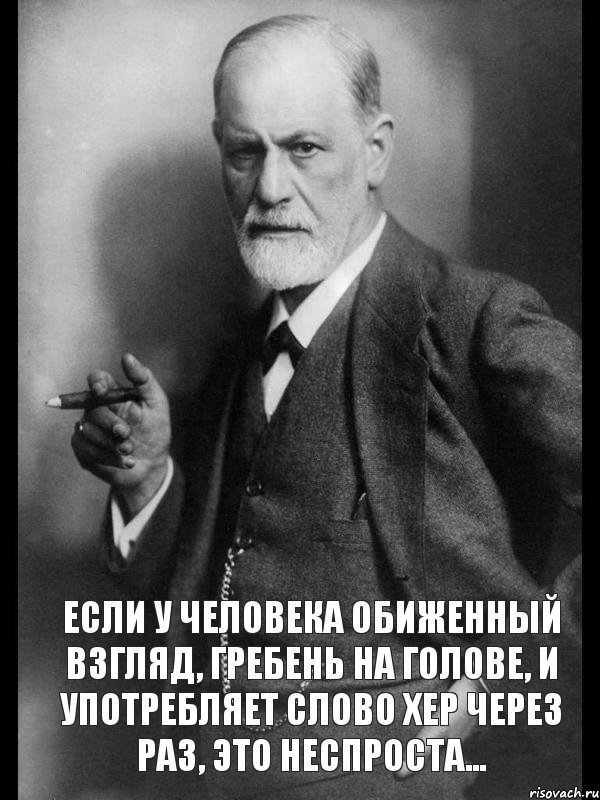  Если у человека обиженный взгляд, гребень на голове, и употребляет слово хер через раз, это неспроста..., Мем    Фрейд