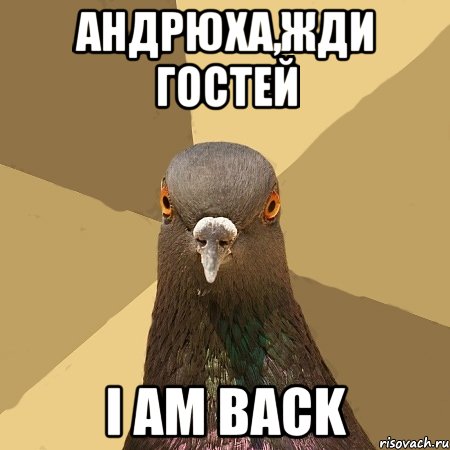 андрюха,жди гостей i am back