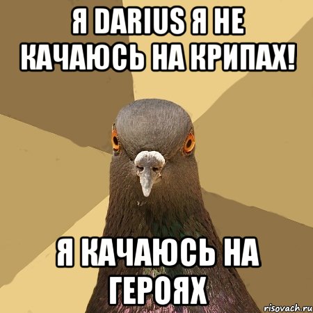 я darius я не качаюсь на крипах! я качаюсь на героях, Мем голубь