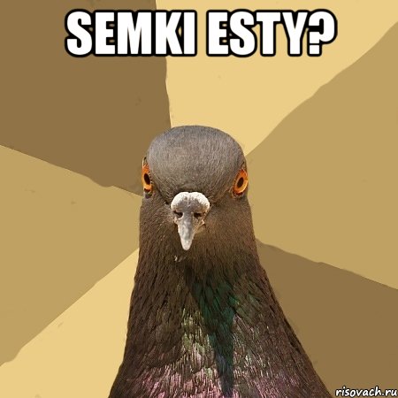 semki esty? , Мем голубь