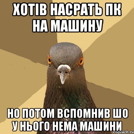 хотів насрать пк на машину но потом вспомнив шо у нього нема машини, Мем голубь