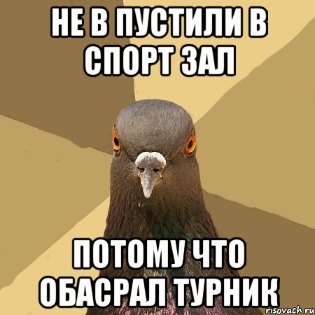 не в пустили в спорт зал потому что обасрал турник, Мем голубь