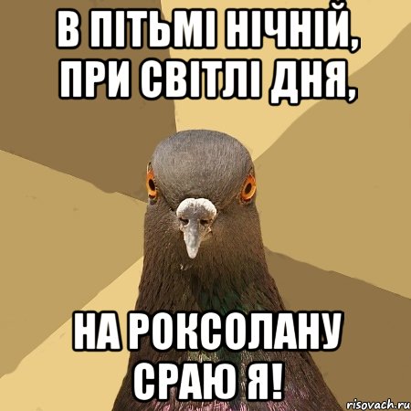 в пітьмі нічній, при світлі дня, на роксолану сраю я!