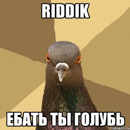 riddik ебать ты голубь