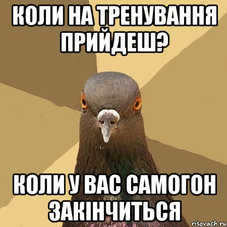 коли на тренування прийдеш? коли у вас самогон закінчиться, Мем голубь