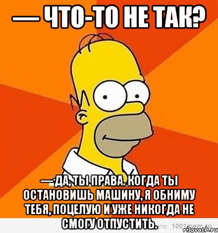 — что-то не так? — да, ты права. когда ты остановишь машину, я обниму тебя, поцелую и уже никогда не смогу отпустить., Мем Гомер adv