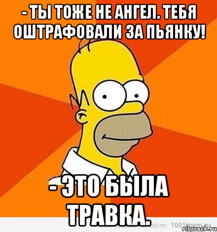 - ты тоже не ангел. тебя оштрафовали за пьянку! - это была травка., Мем Гомер adv