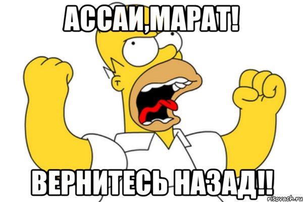 ассаи,марат! вернитесь назад!!, Мем Разъяренный Гомер