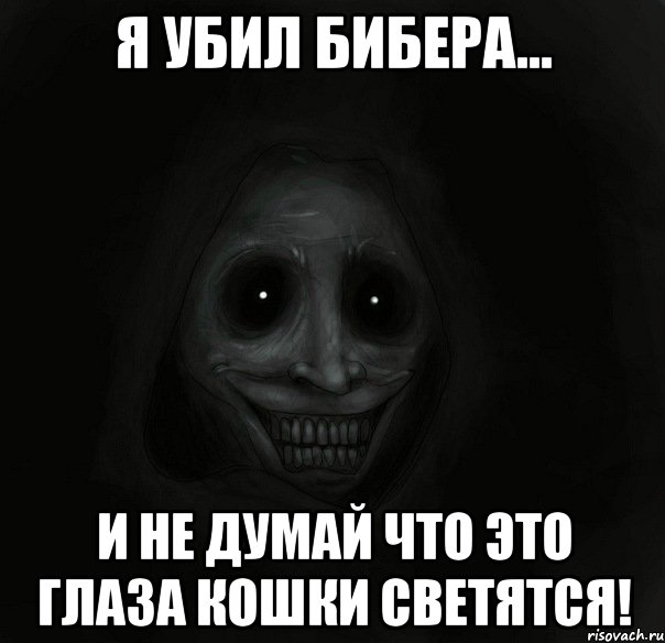 я убил бибера... и не думай что это глаза кошки светятся!, Мем Ночной гость