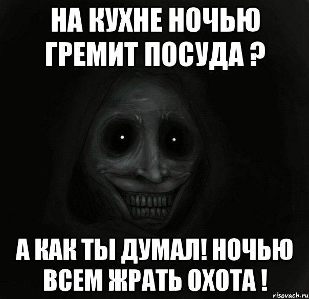 на кухне ночью гремит посуда ? а как ты думал! ночью всем жрать охота !, Мем Ночной гость