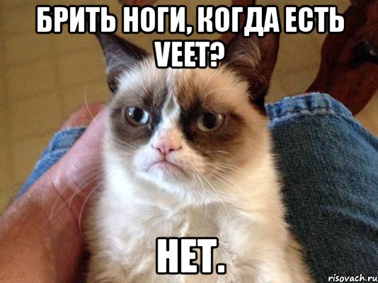 брить ноги, когда есть veet? нет., Мем grumpy